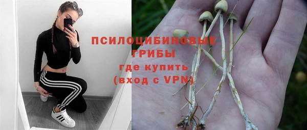 дживик Саяногорск