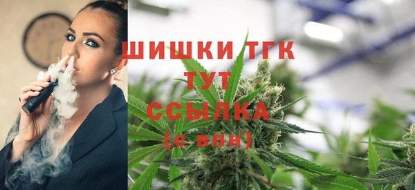 дживик Аркадак