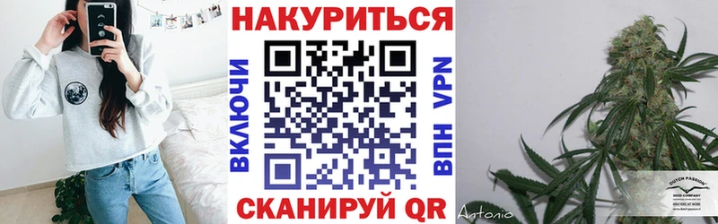 Бошки марихуана индика  сколько стоит  гидра ссылки  нарко площадка как зайти  Белово 